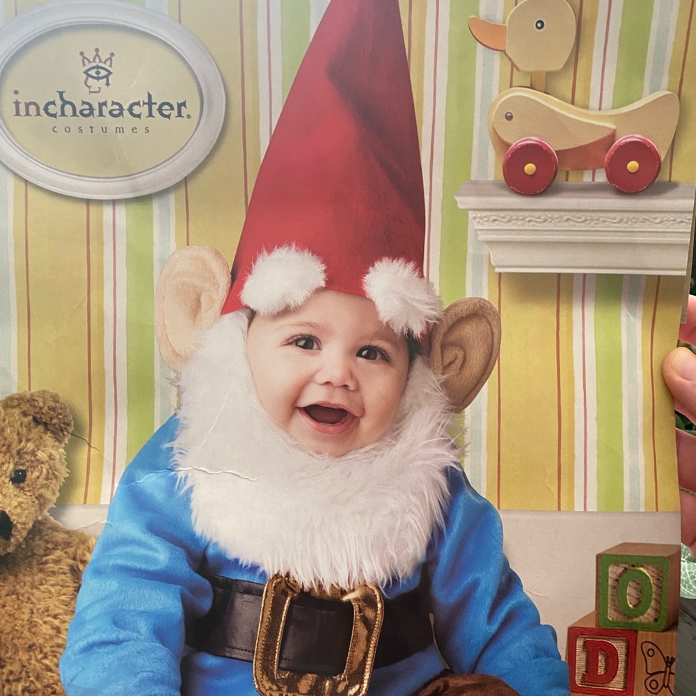 Gnome costume infant costume